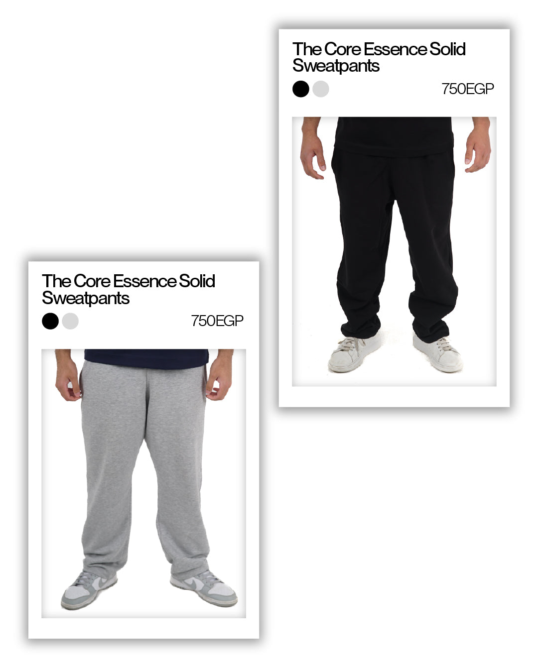 The Daily Bundle
